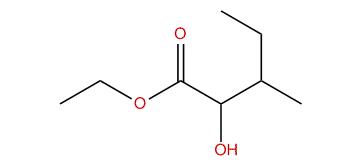 Ethyl 2-hydroxy-3-methylpentanoate